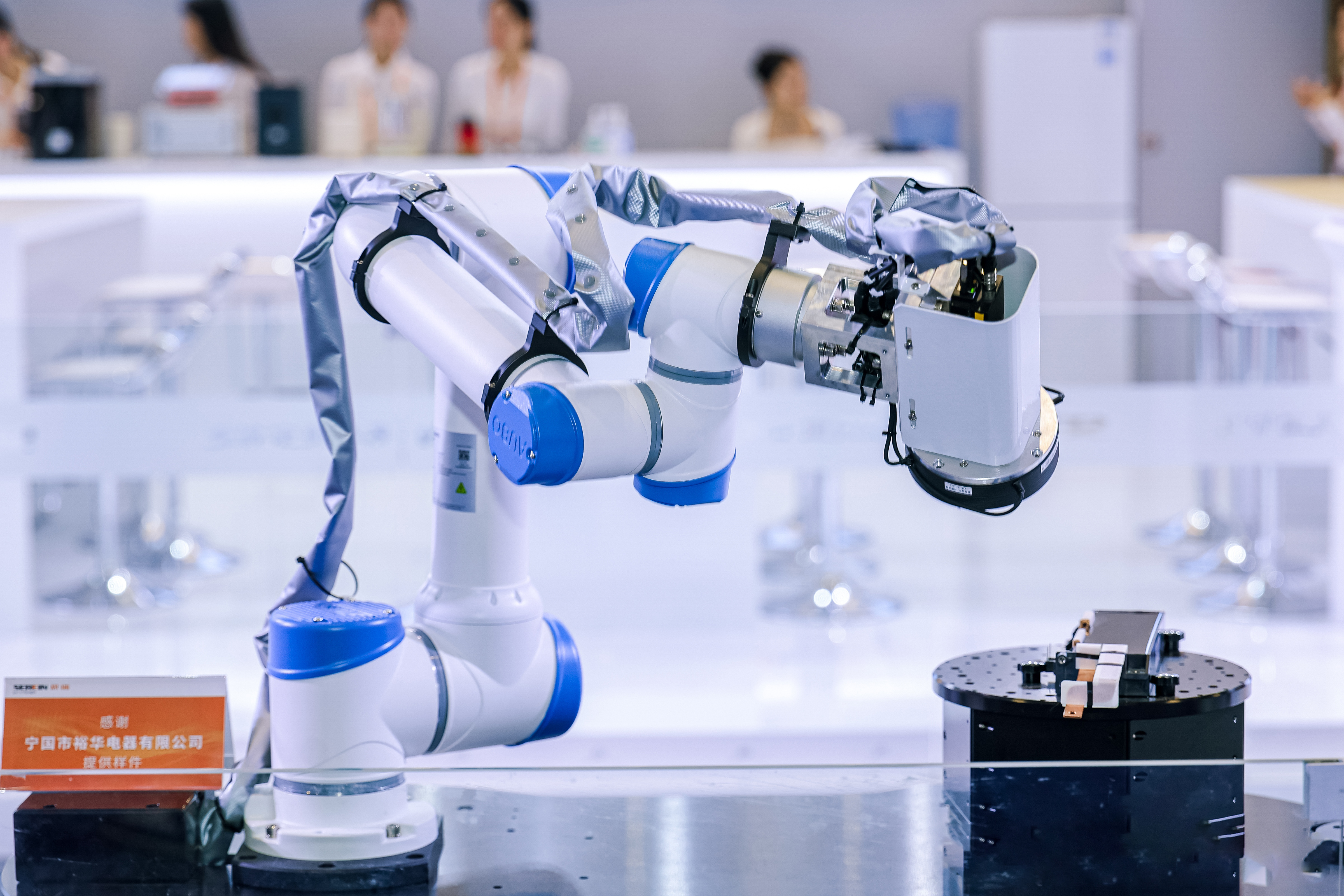 005A2522.jpg 005A2522.jpg